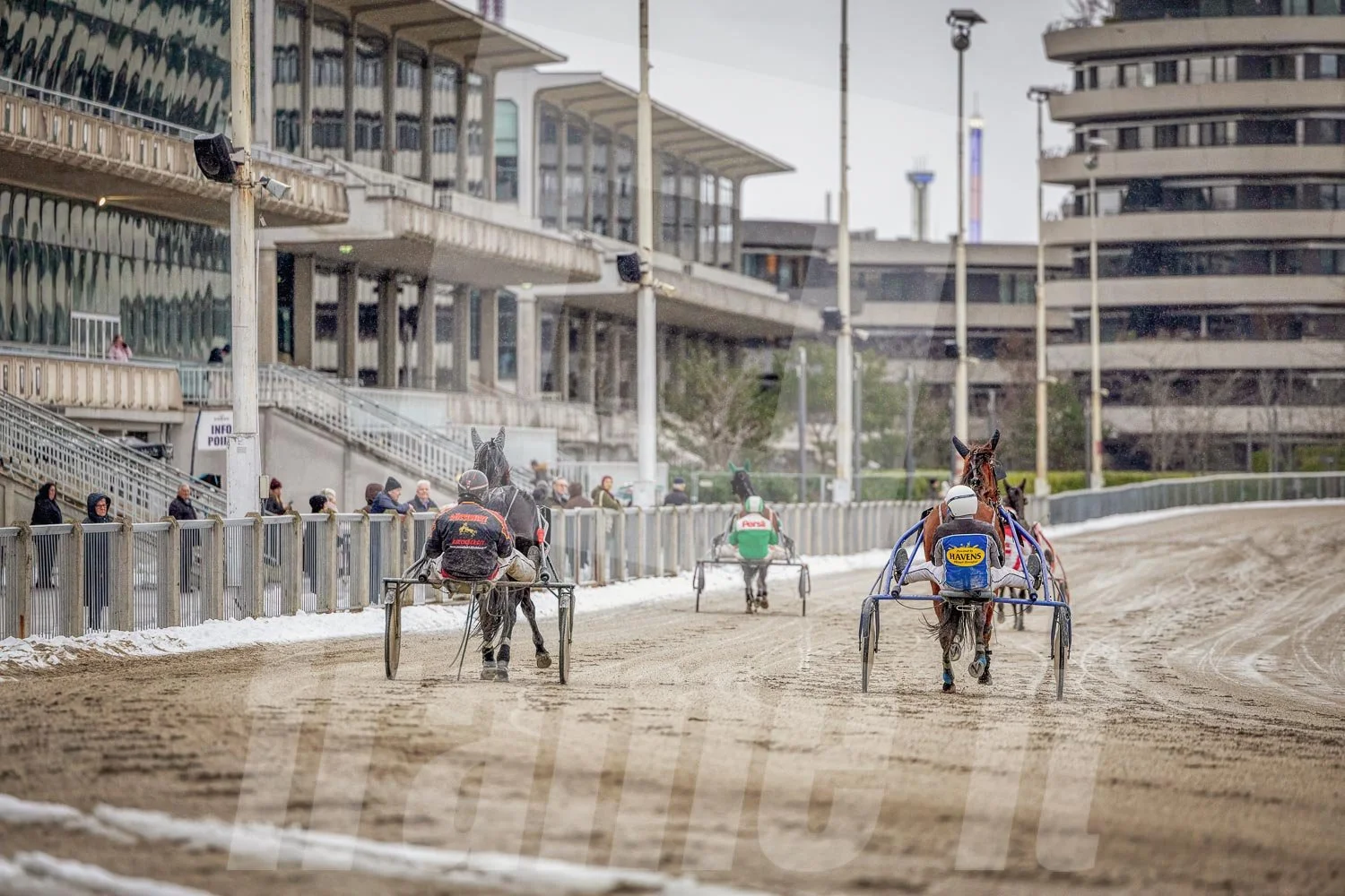 Pferderennen auf der Rennbahn mit mehreren Pferden und Fahrern, Zuschauer am Rand, moderne Gebäude im Hintergrund auf der Trabrennbahn Wien.