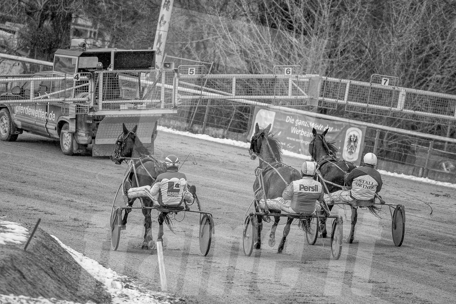 Schwarz-weiss Foto eines Trabrennpferdes, mit einem Trabrennfahrer auf der Trabrennbahn in der Wiener Krieau, mit einer Werbetafel im Hintergrund.