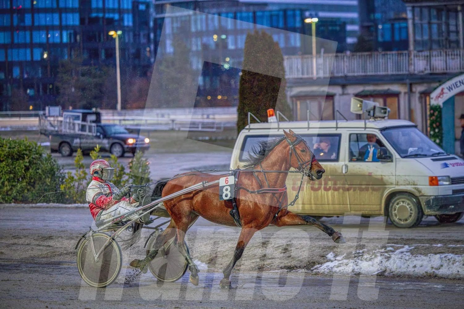 Pferderennen mit Trabrennpferd, in der Stadt bei Dämmerung