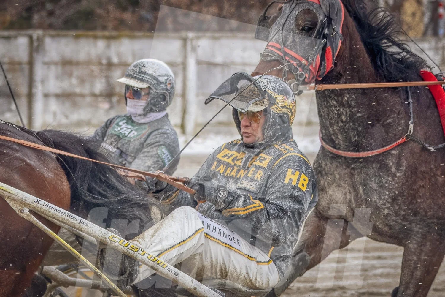Trabrennen mit mehreren Trabrennpferden und Fahrern auf der Trabrennbahn in Wien Krieau. 