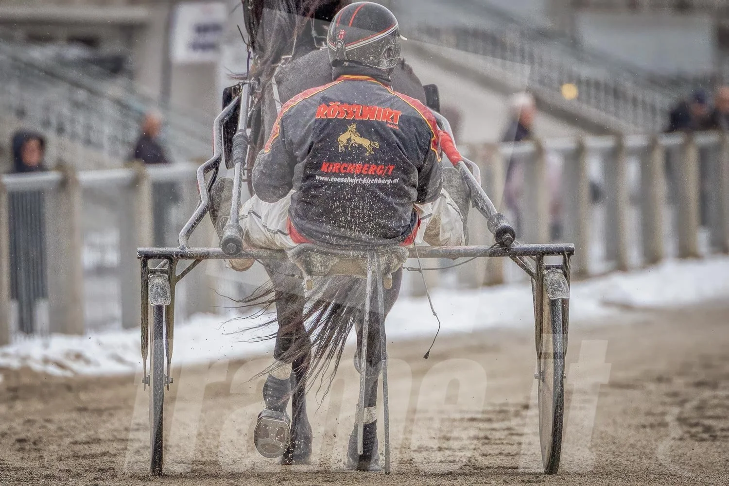 Trabrennpferd mit Trabrennfahrer auf der Pferderennbahn Wien Krieau bei winterlichen Bedingungen.