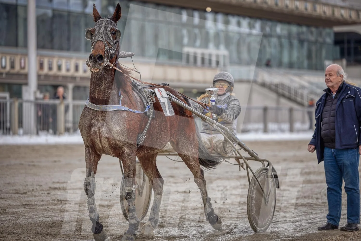 Trabrennfahrer, der eine Trophäe hält, und einer Person, die zuschaut, auf einer Pferderennbahn.