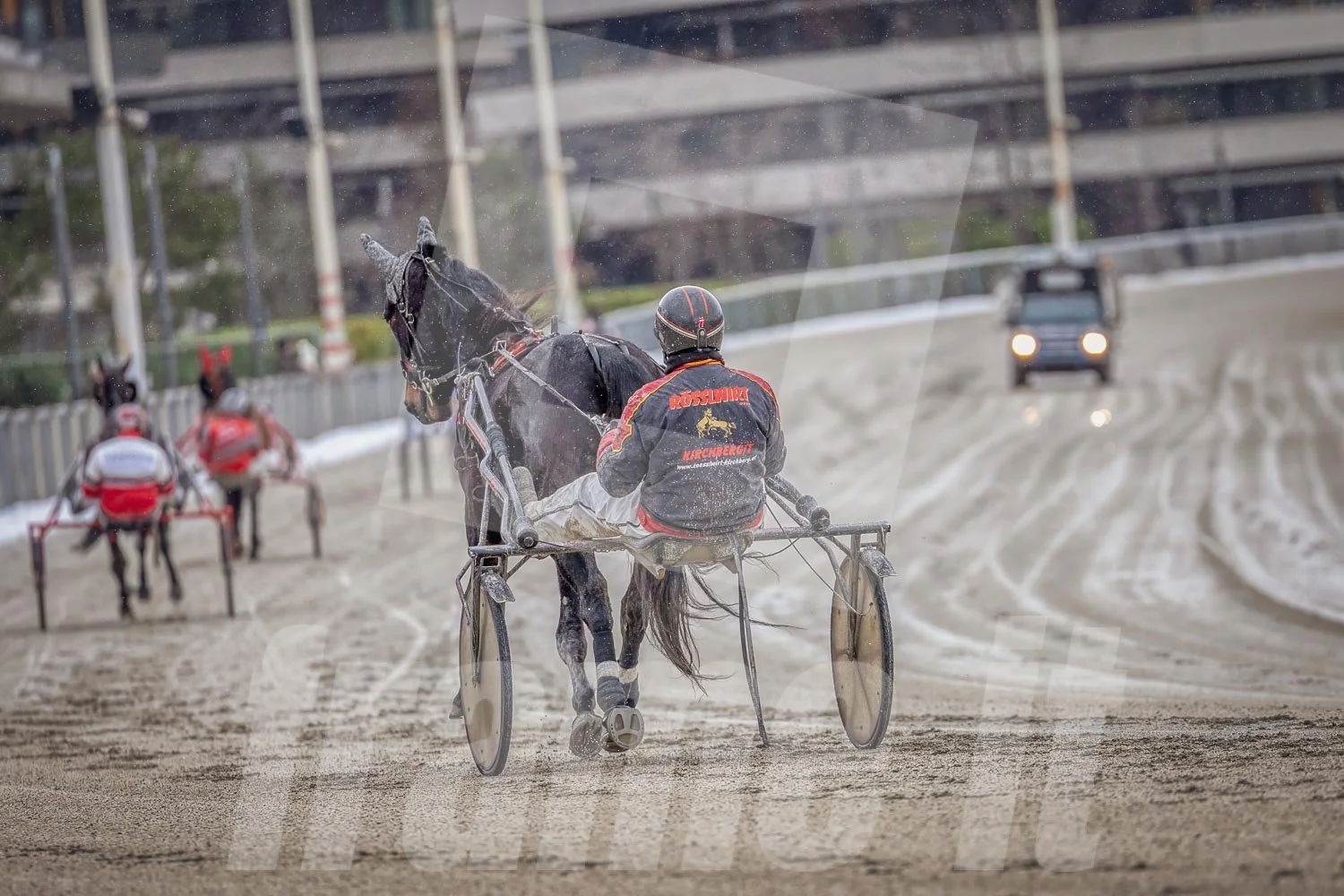 Trabrennpferd mit Trabrennfahrer auf der Pferderennbahn Wien Krieau bei winterlichen Bedingungen, im Hintergrund der Startwagen.