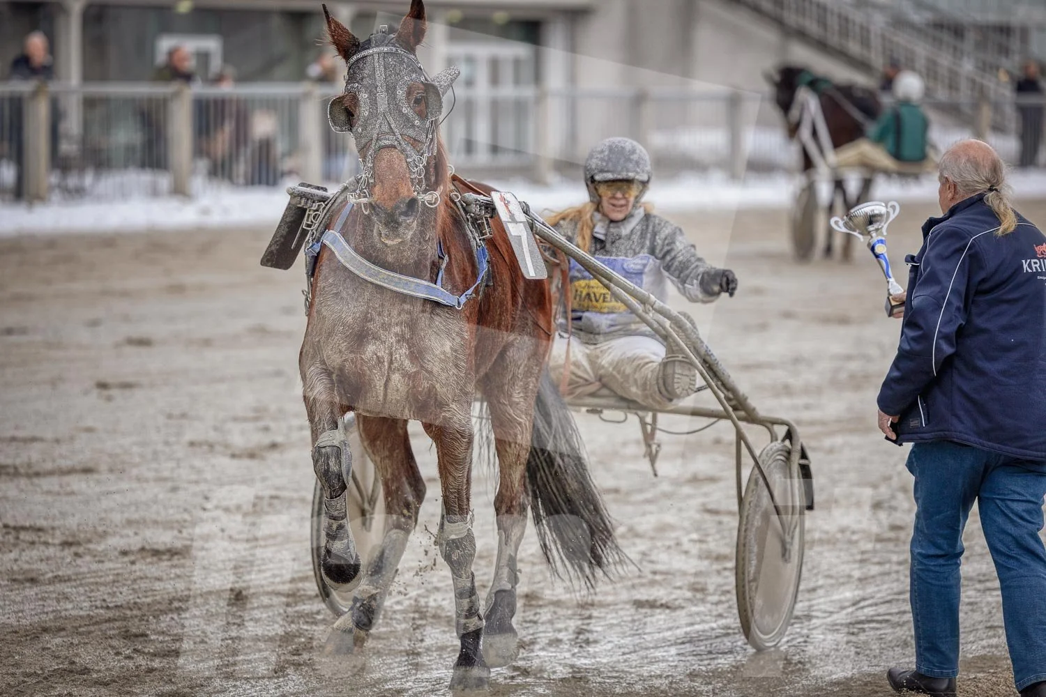 Trabrennfahrer mit Pferd, Trabrennpark Krieau in Wien, Siegerehrung.