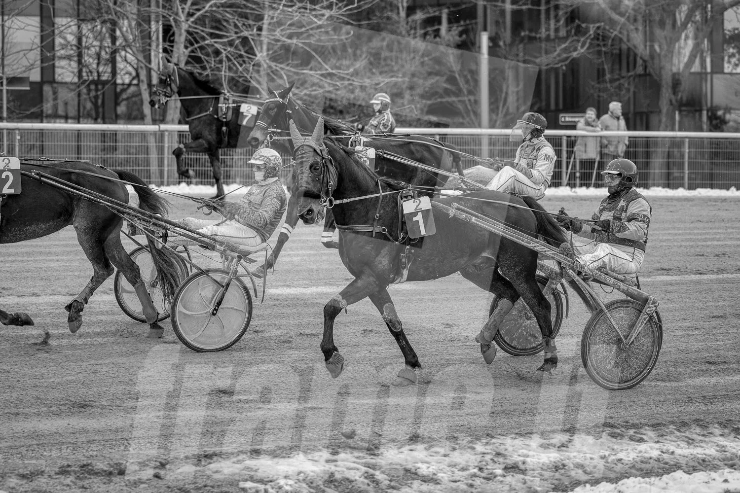 Schwarz-Weiß-Bild eines Pferderennens mit mehreren Pferden und Fahrern auf einer Pferderennbahn, Schnee auf dem Boden, im Hintergrund einige Zuschauer und Bäume.