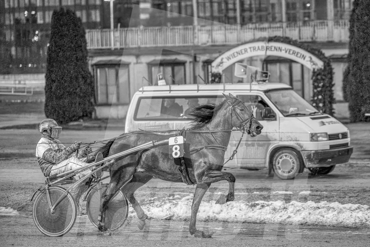 Ein Trabrennfahrer und ein Trabrennpferd auf der Trabrennbahn in Wien Krieau. Die Szene ist schwarz-weiß.