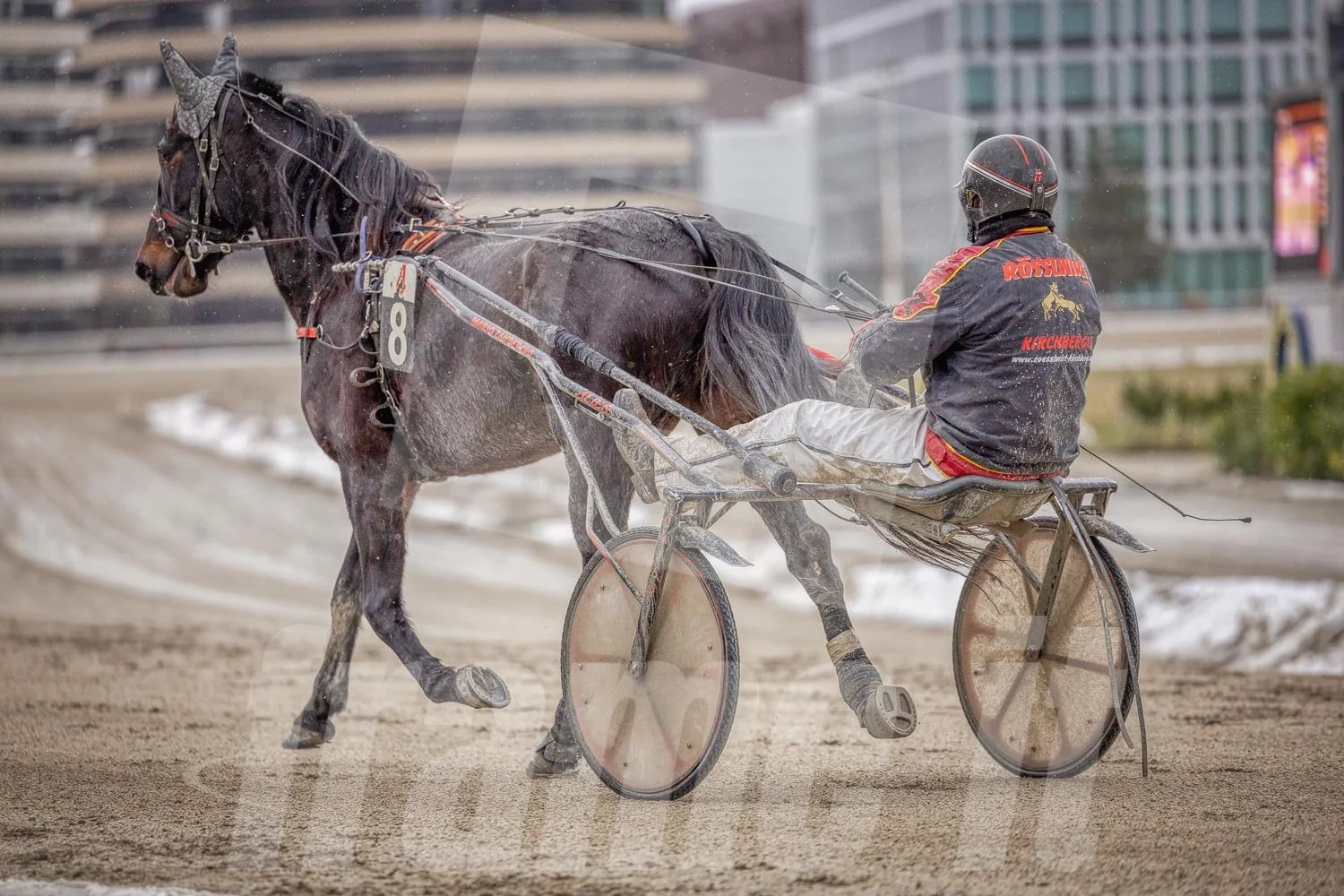Pferdesportfahrer bei einem Trabrennen auf einer Rennbahn in einer Stadt bei winterlichen Bedingungen.