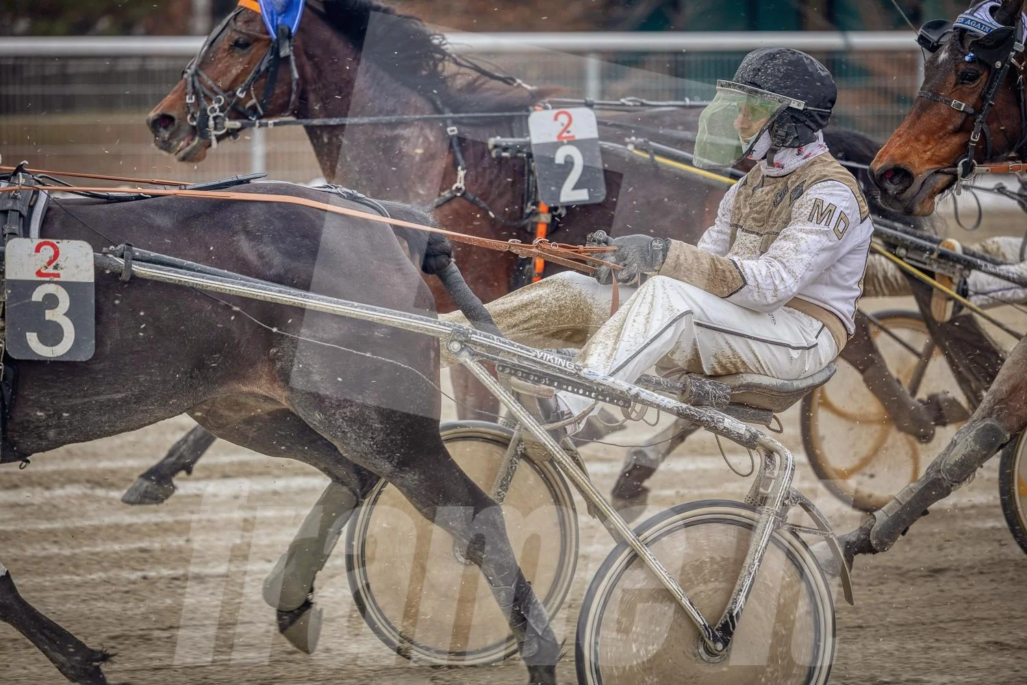 Pferderennen auf der Rennbahn mit mehreren Pferden und Fahrern, die in Geschwindigkeit konkurrieren, während sie auf einer Sandbahn laufen.