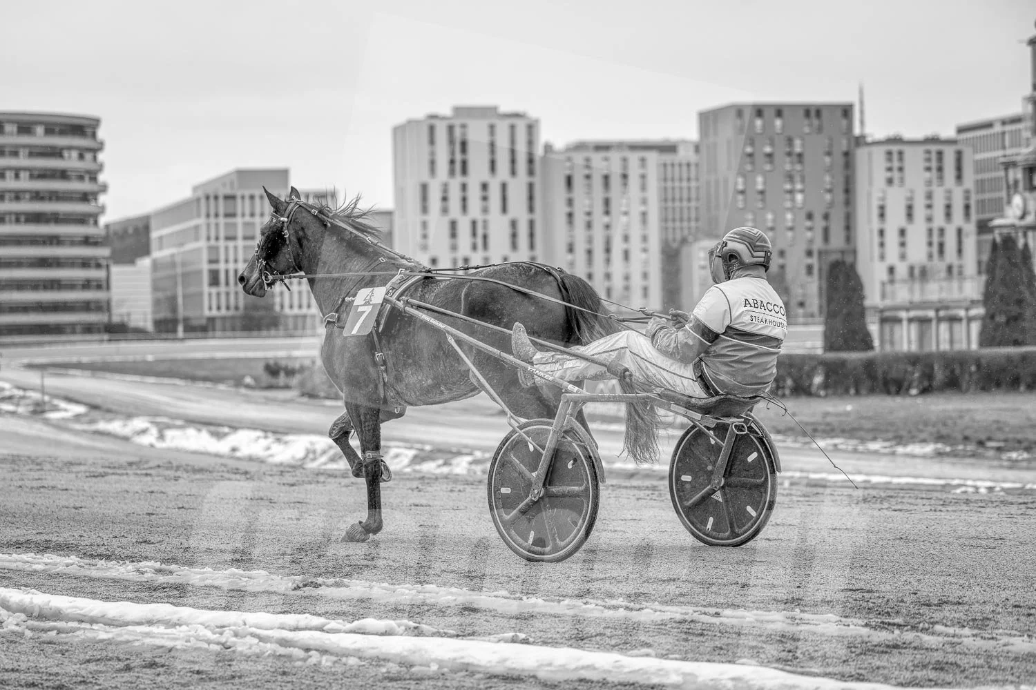 Schwarz-weiss Foto eines Trabrennpferdes, mit einem Trabrennfahrer auf der Trabrennbahn in der Wiener Krieau.