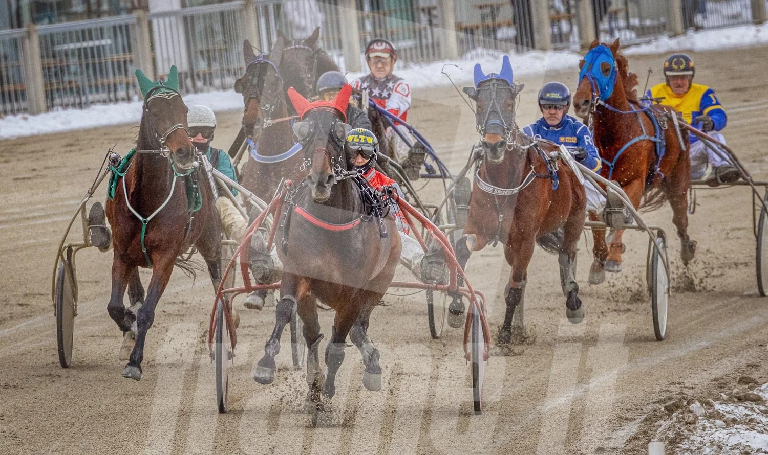 Trabrennen mit mehreren Pferden und Trabrennfahrern in Action, Trabrennpark Krieau.