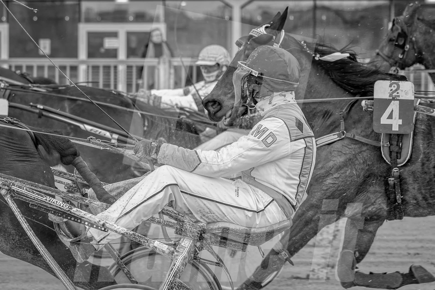 Schwarz-weiß-Foto eines Pferderennens.