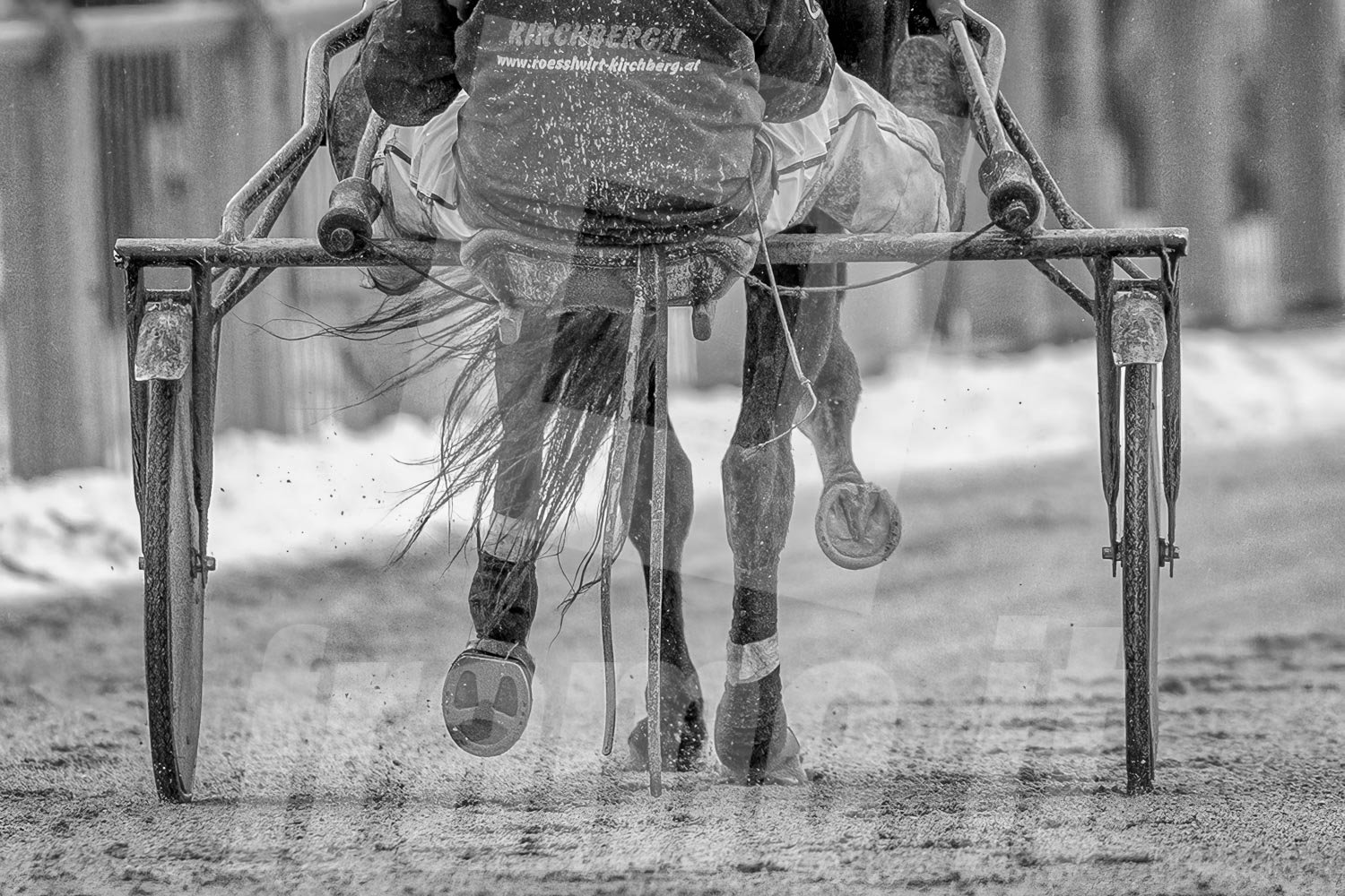 Ein Pferd mit einem Trabrennfahrer.