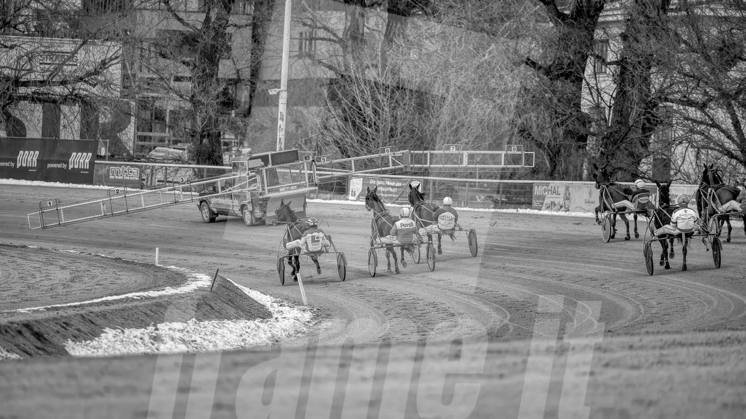 Schwarz-weiss Foto eines Trabrennpferdes, mit einem Trabrennfahrer auf der Trabrennbahn in der Wiener Krieau, im Hintergrund Bäume und Werbetafeln