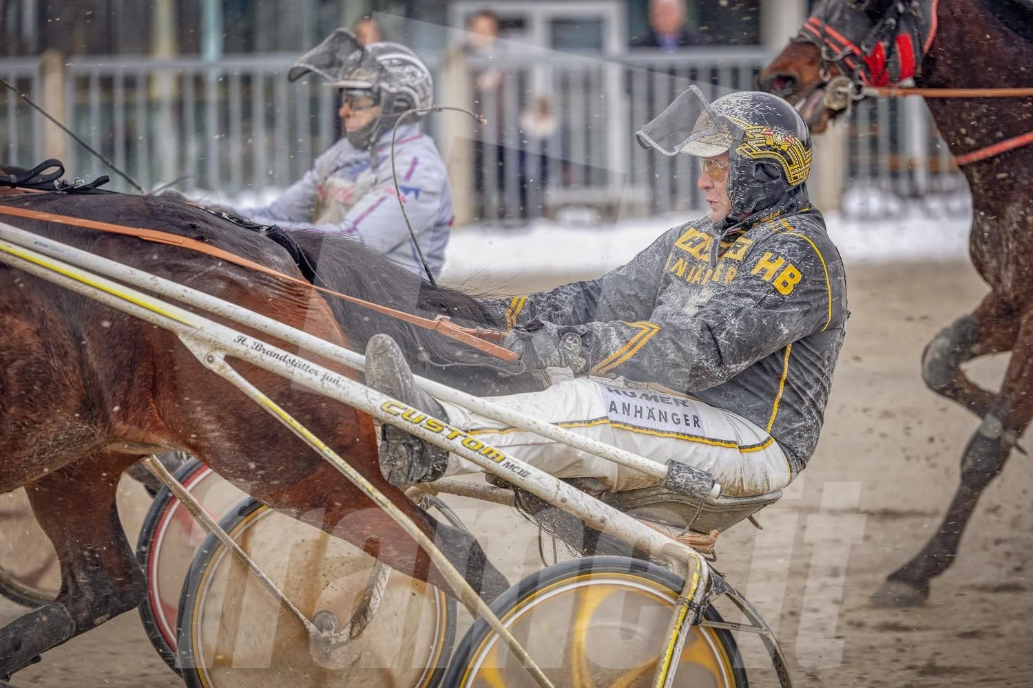 Trabrennfahrer fährt mit seinem Trabrennpferd in einer Wettkampfszene, im Hintergrund andere Pferde und Zuschauer