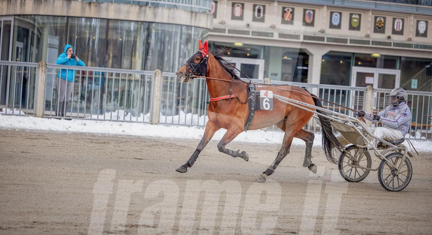 Trabrennpark Wien Krieau mit Trabrennpferd und Tribüne im Hintergrund.