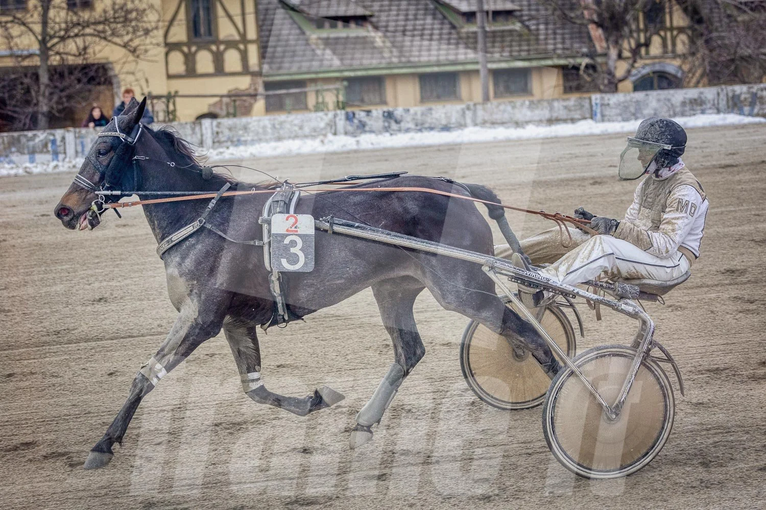 Trabrennen auf der Trabrennbahn in Wien Krieau.