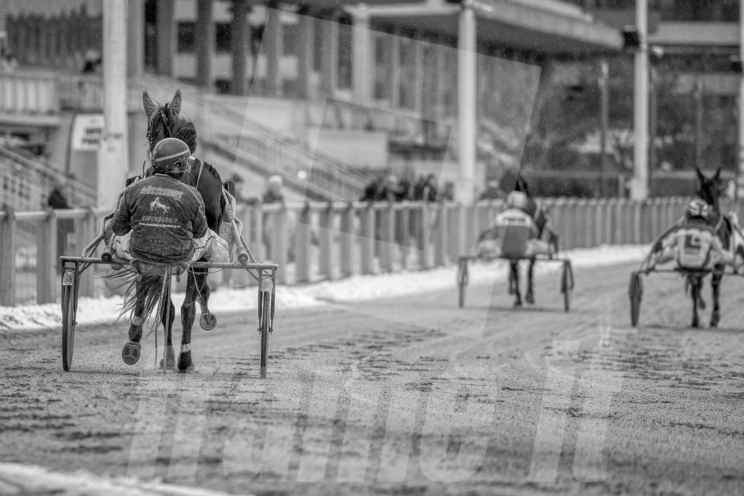 Pferderennen auf einem Sandkurs, mitTrabrennfahrer, im Hintergrund Zuschauer und Tribünen, schwarz-weiß Bild.