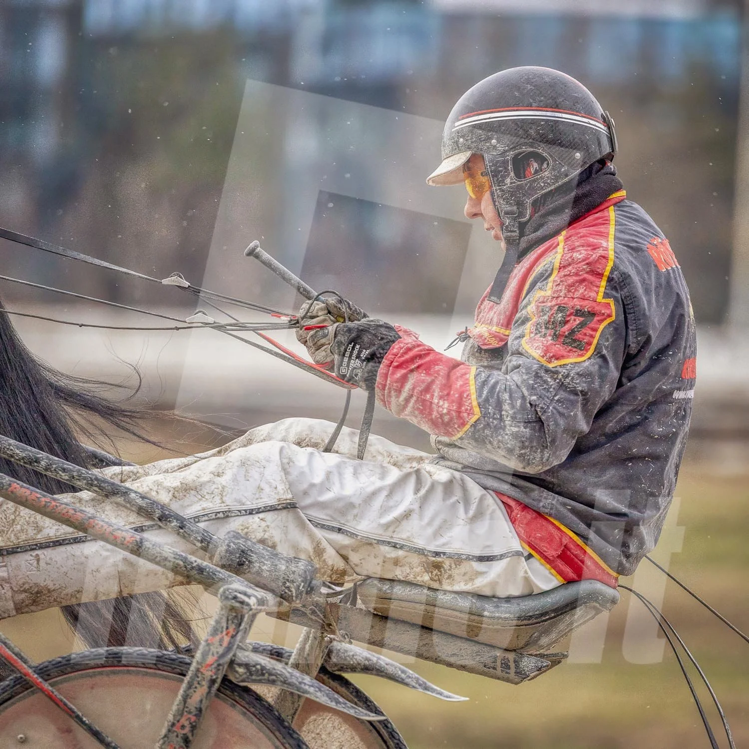 Trabrennpferd mit Trabrennfahrer auf der Pferderennbahn Wien Krieau bei winterlichen Bedingungen.