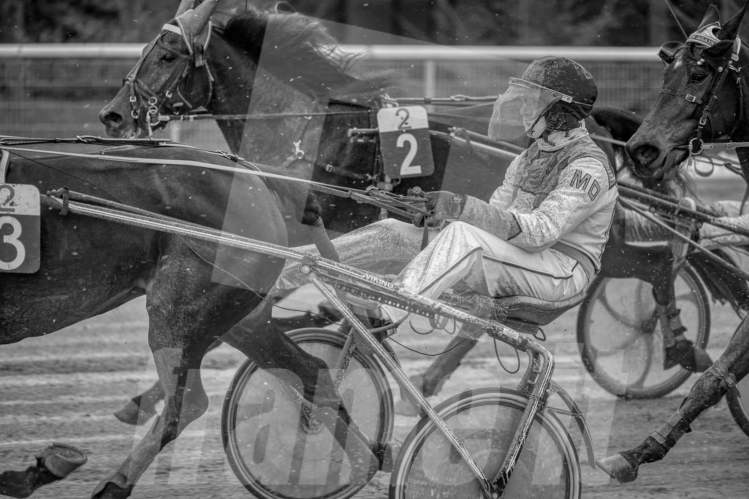 Schwarz-Weiß-Foto von einem Pferderennen.