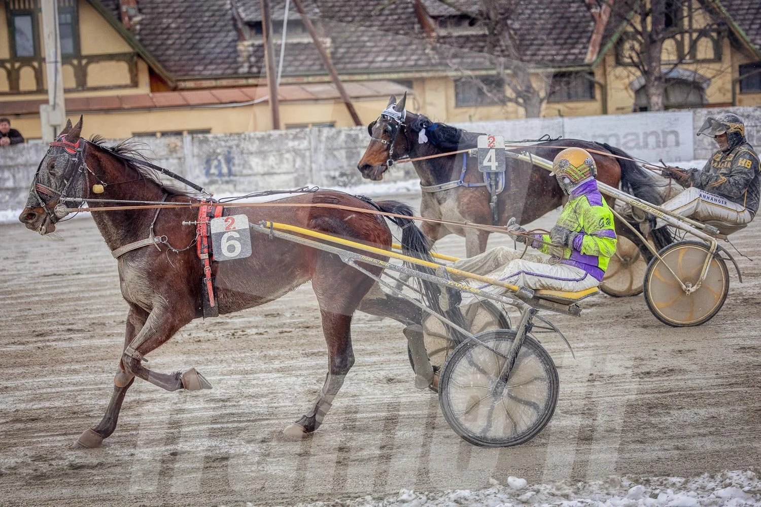 Pferderennen auf der Rennbahn im Winter, mit zwei Pferden und zwei Fahrern, die in schnellen Bewegung sind, Staub und Schnee auf dem Boden.