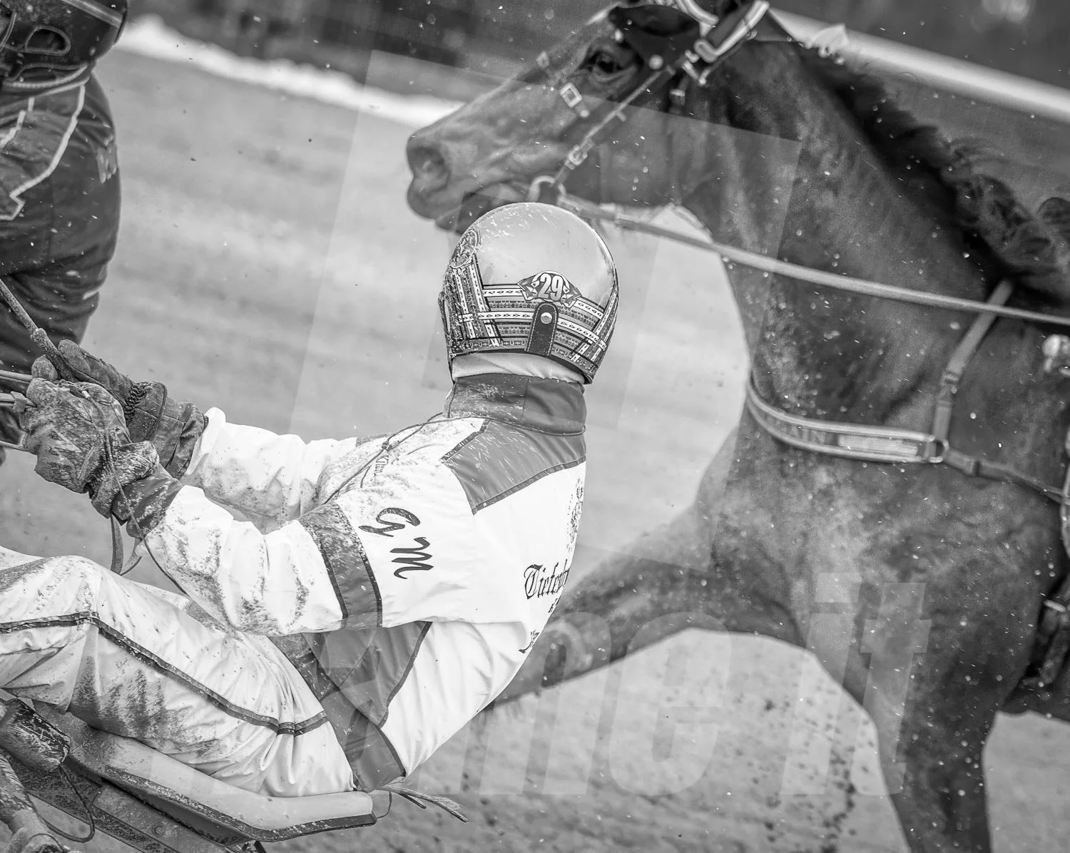 Gerhard Mayr, Trabrennfahrer und Trabrenntrainer bei einem Rennen in der Wiener Krieau.
