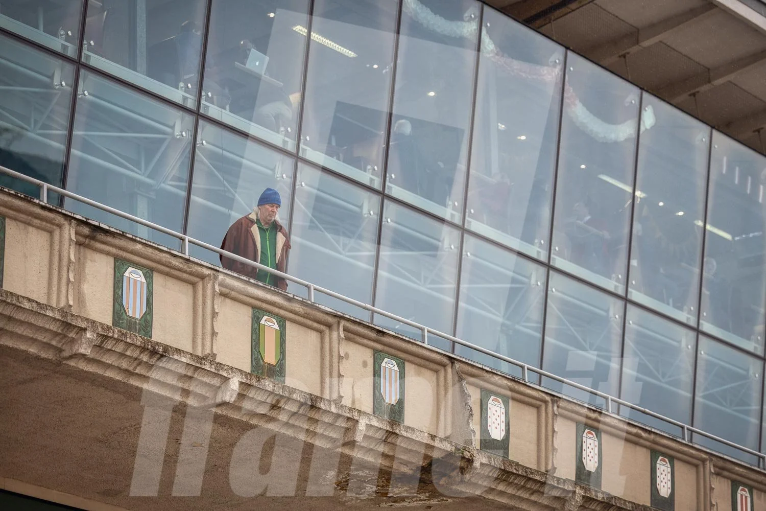 Mann auf Tribüne der Trabrennbahn WIen Krieau.