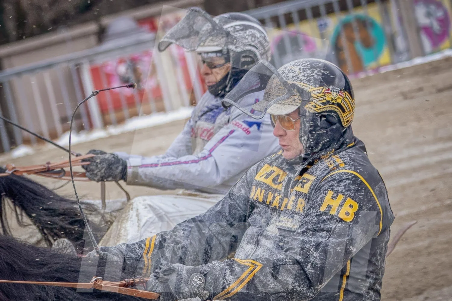 Trabrennen mit mehreren Trabrennpferden und Fahrern auf der Trabrennbahn in Wien Krieau. 