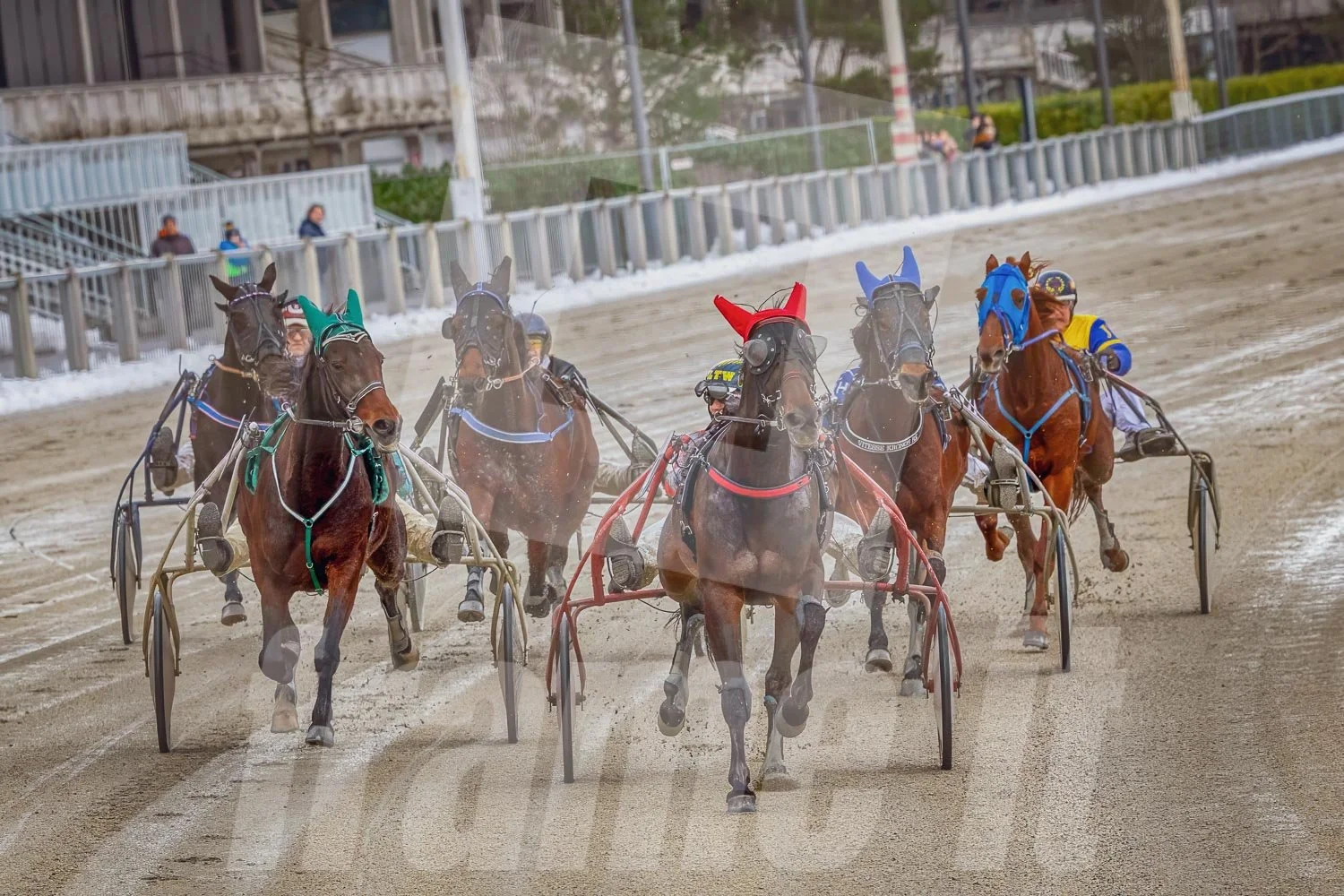 Trabrennen mit mehreren Pferden und Trabrennfahrern in Action, Trabrennpark Krieau.