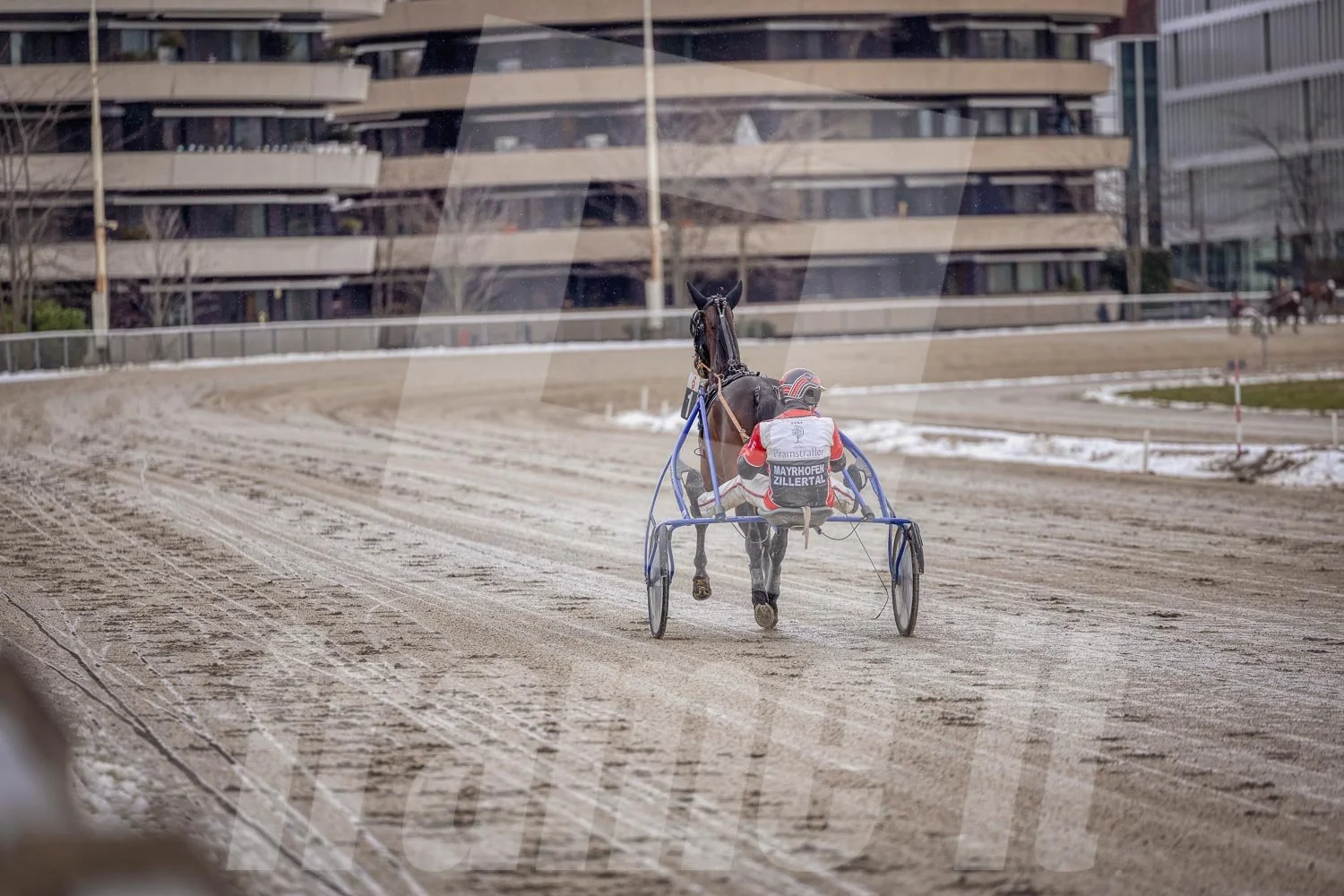 Trabrennpferd mit Trabrennfahrer auf der Pferderennbahn bei winterlichen Bedingungen, mit Stadthäuser im Hintergrund.