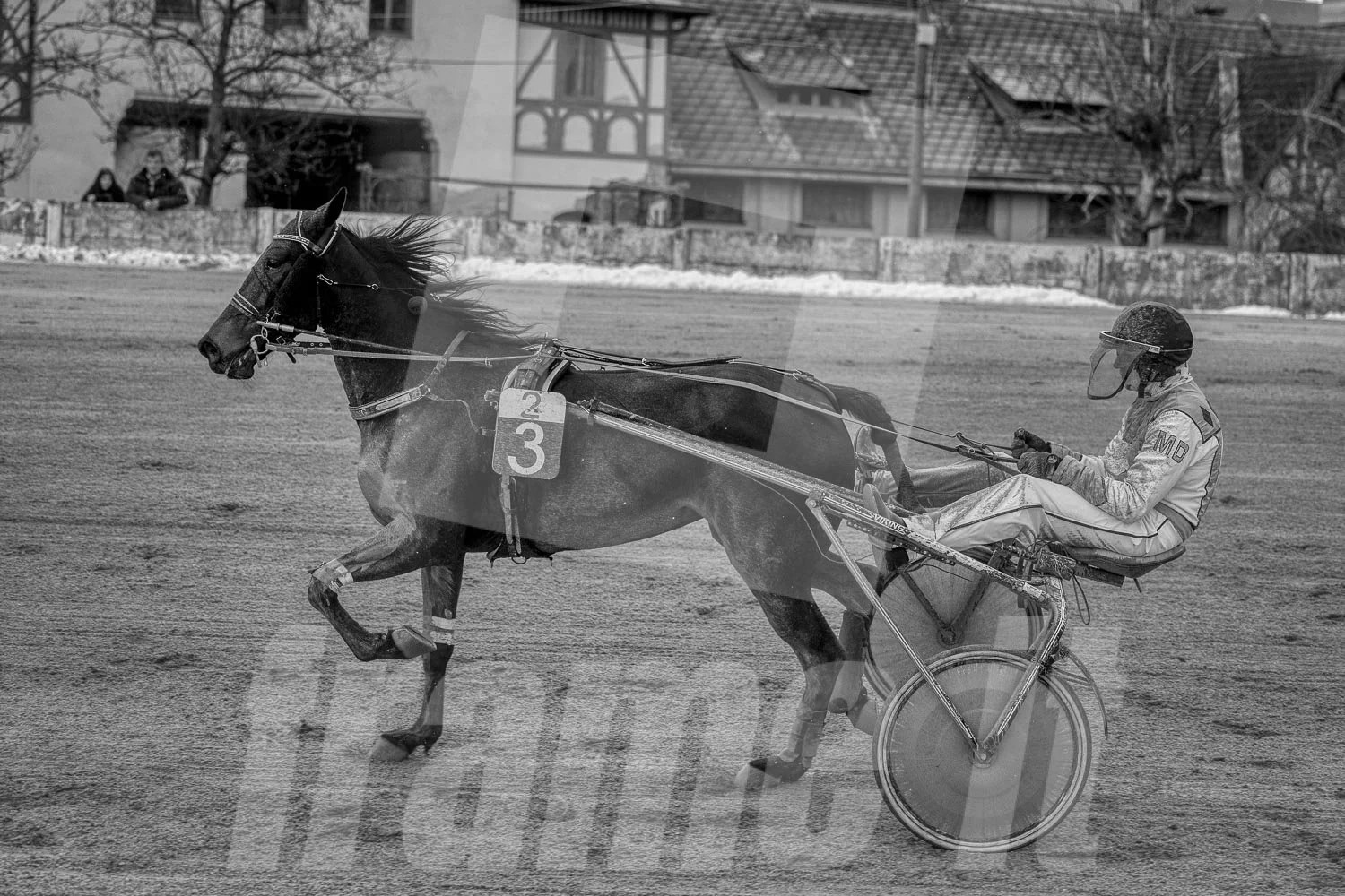 Pferderennen im Winter, schwarze und weiße Fotografie, Trabrennpark Krieau in Wien.