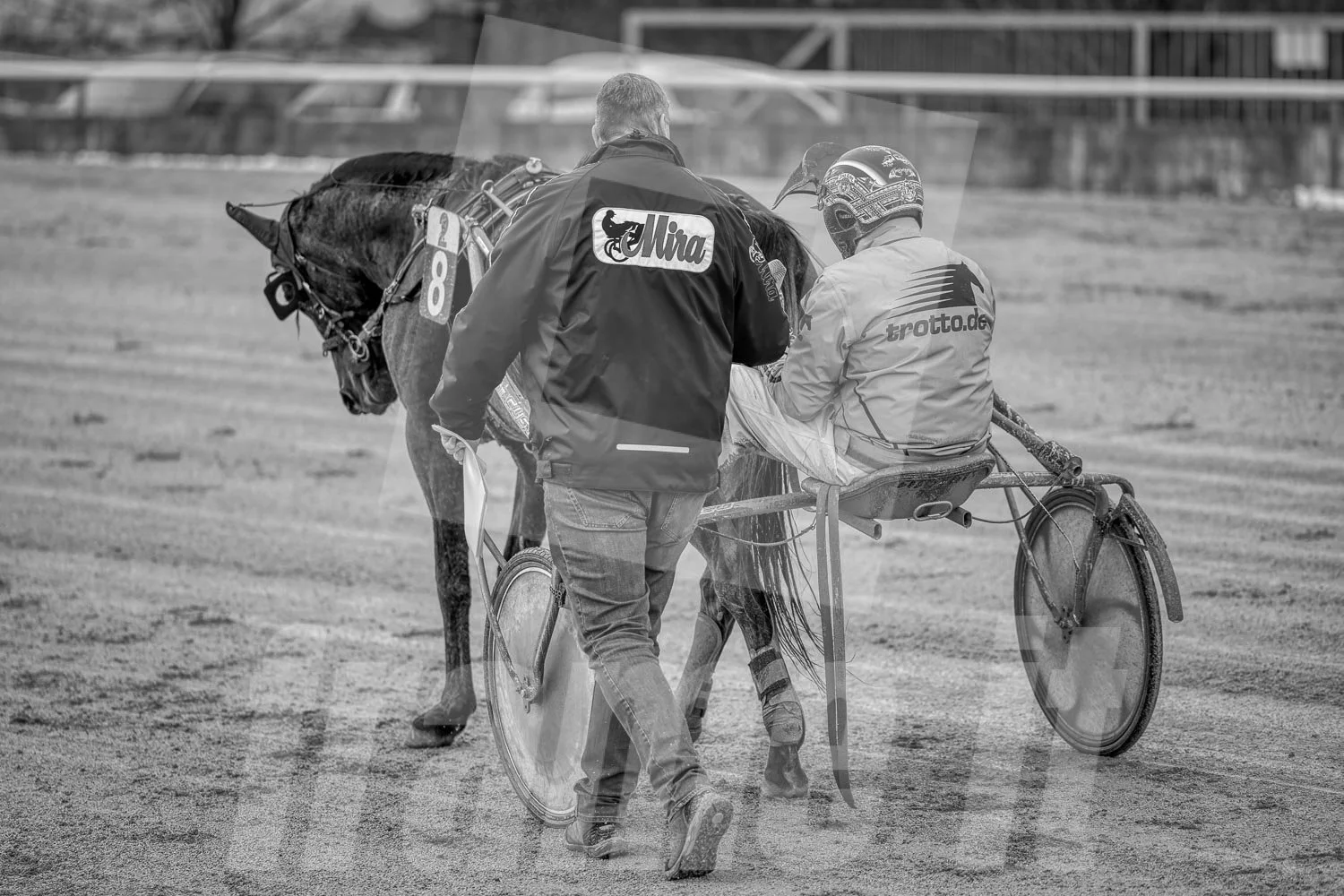 Interview im Trabrennpark Krieau in Wien mit einem Trabrennfahrer.