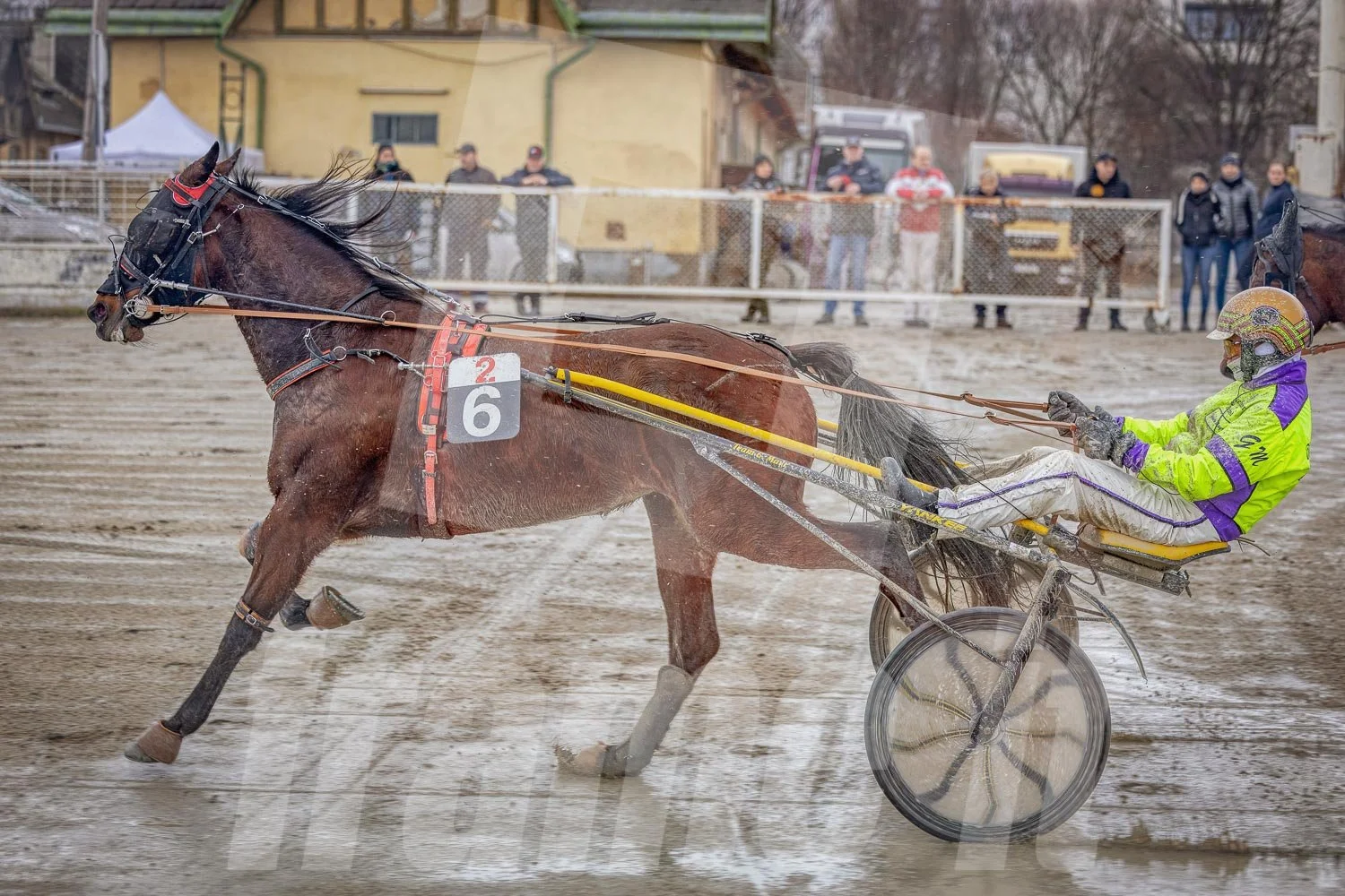 Pferderennen auf einem Pferderennbahn auf der sandigen Rennbahn.