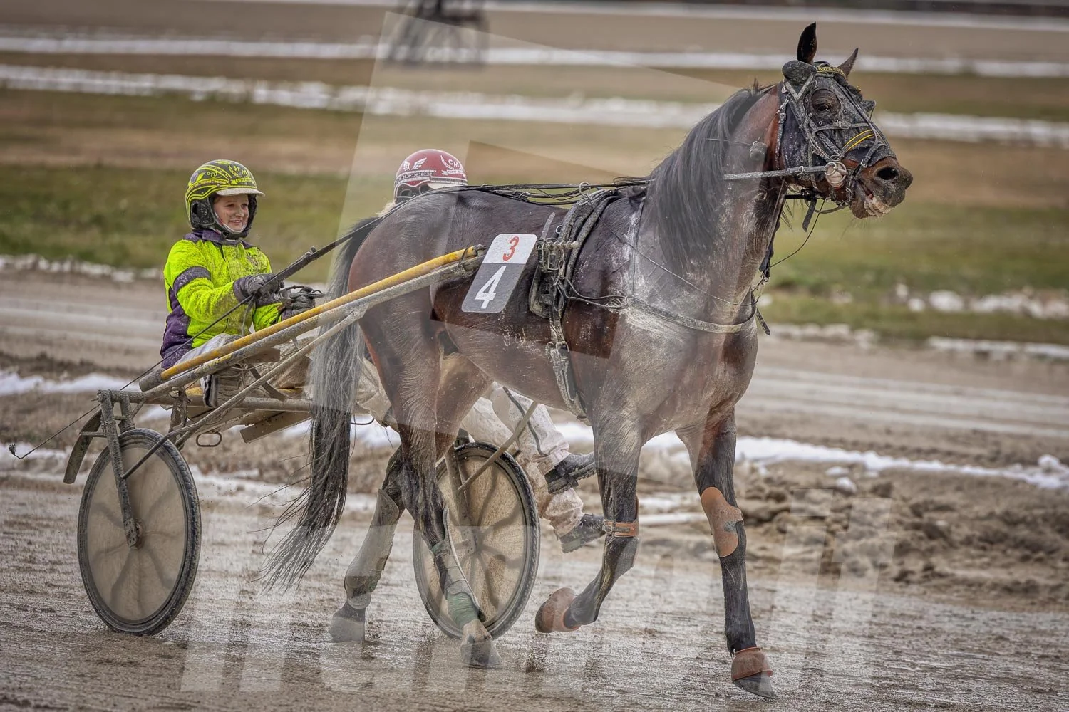 Trabrennpferd mit Trabrennfahrer auf der Pferderennbahn Wien Krieau bei winterlichen Bedingungen.