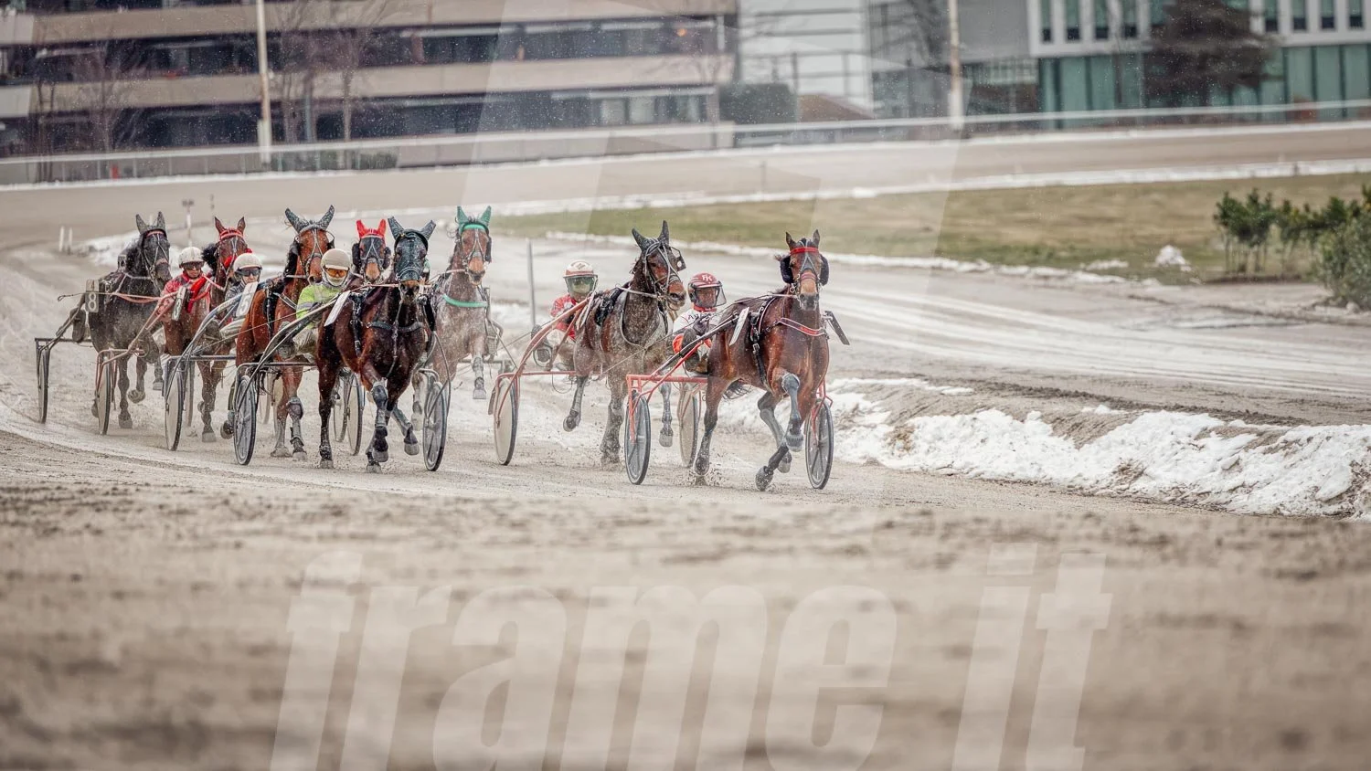 Pferderennen auf einer Sandbahn mit mehreren rennenden Pferden und Trabrennfahrer.