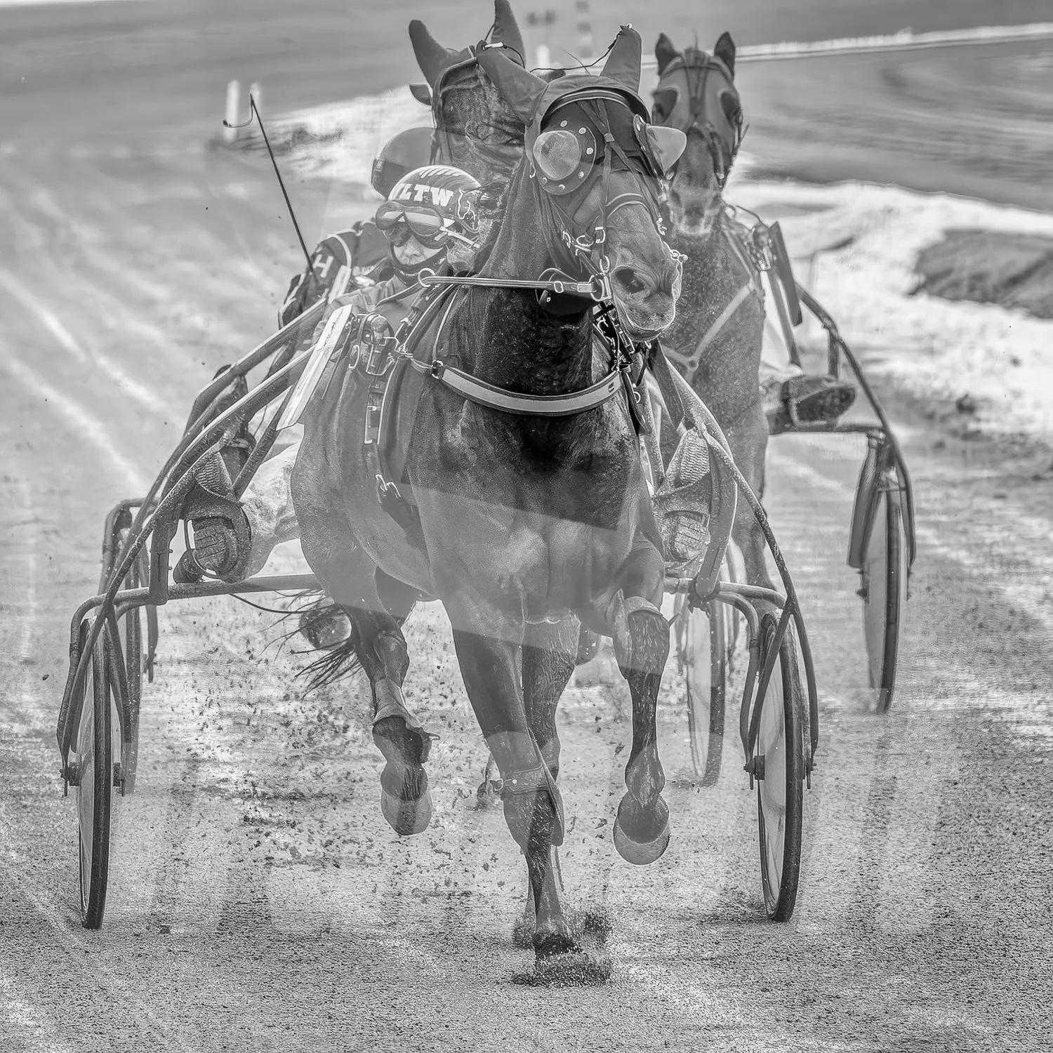 Zwei Pferde ziehen einen Rennwagen im Galopp auf einer Sandbahn.