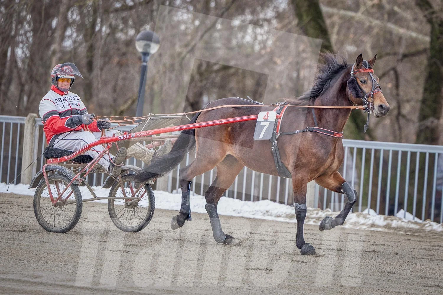 Trabrennfahrer mit Pferd, Trabrennpark Krieau in Wien.