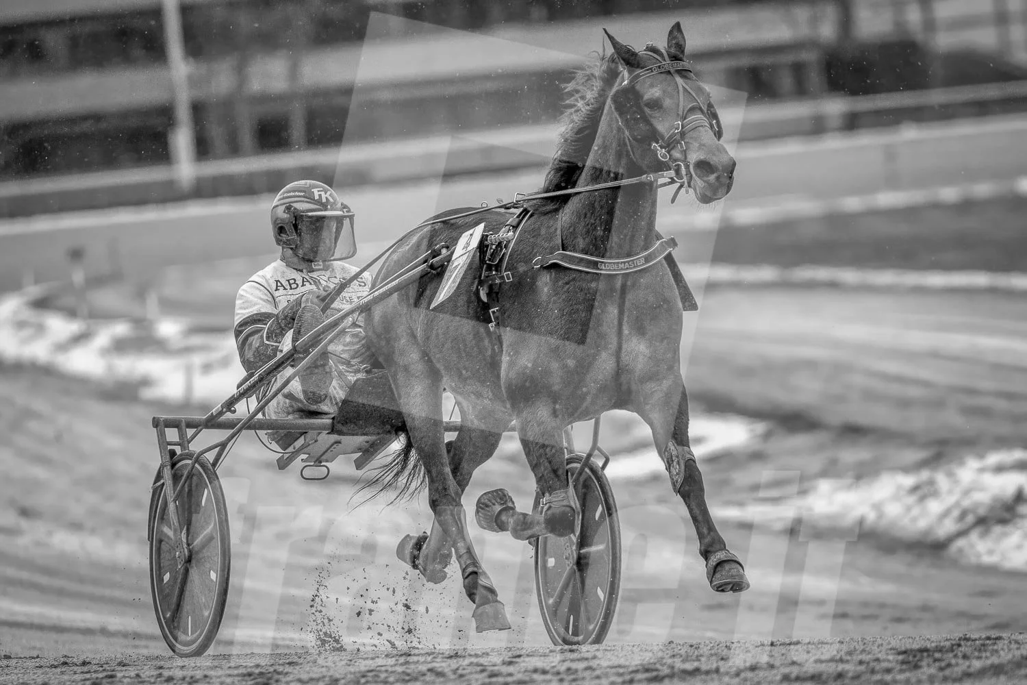Schwarz-Weiß-Foto eines Trabrennpferdes, dass bei einem Rennen läuft, mit einem Fahrer.
