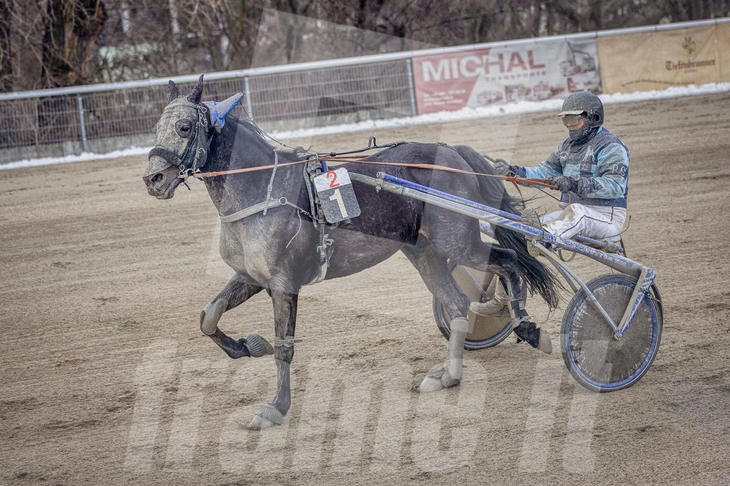 Trabrennen auf der Trabrennbahn in Wien Krieau.