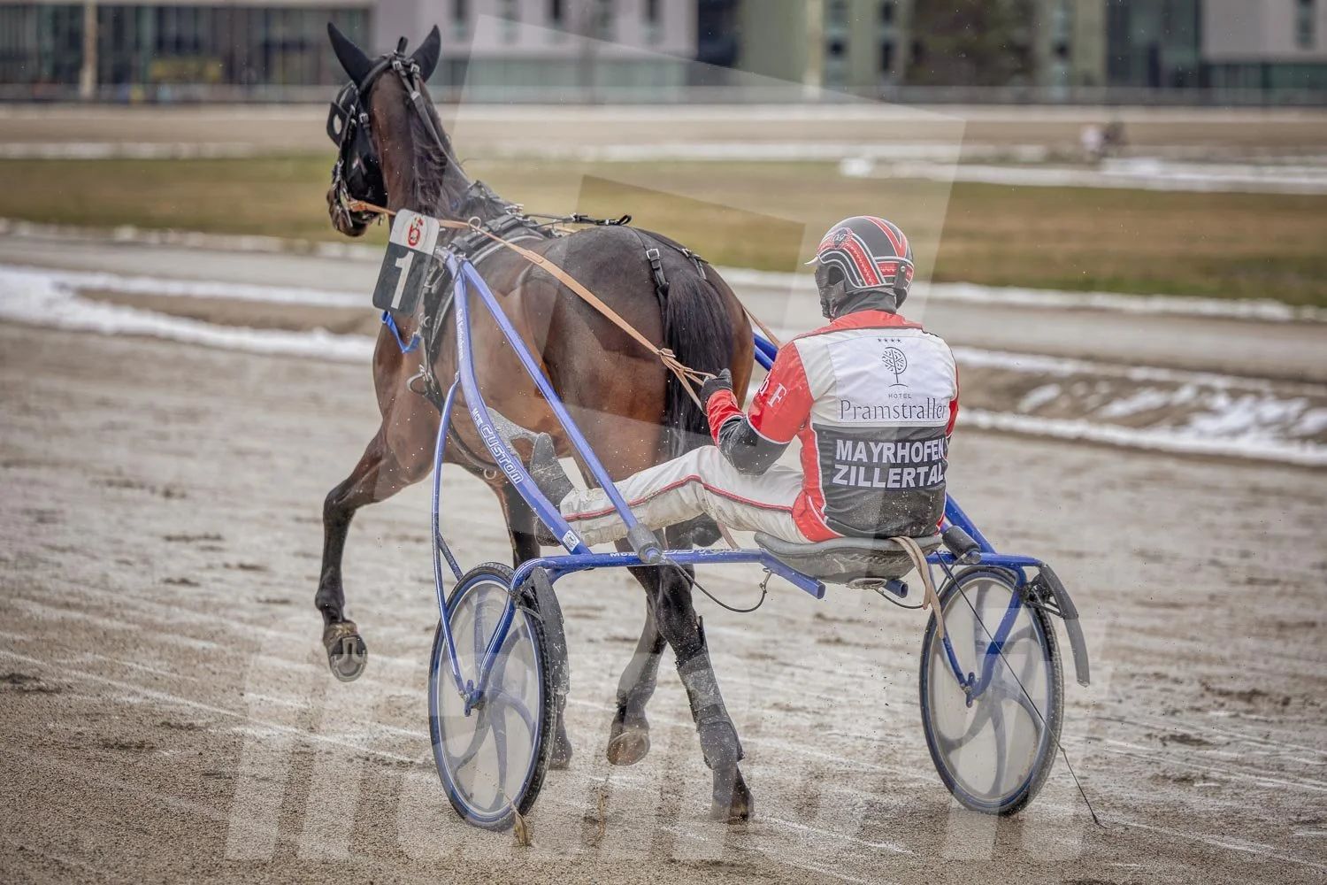 Trabrennpferd mit Trabrennfahrer auf der Pferderennbahn bei winterlichen Bedingungen.