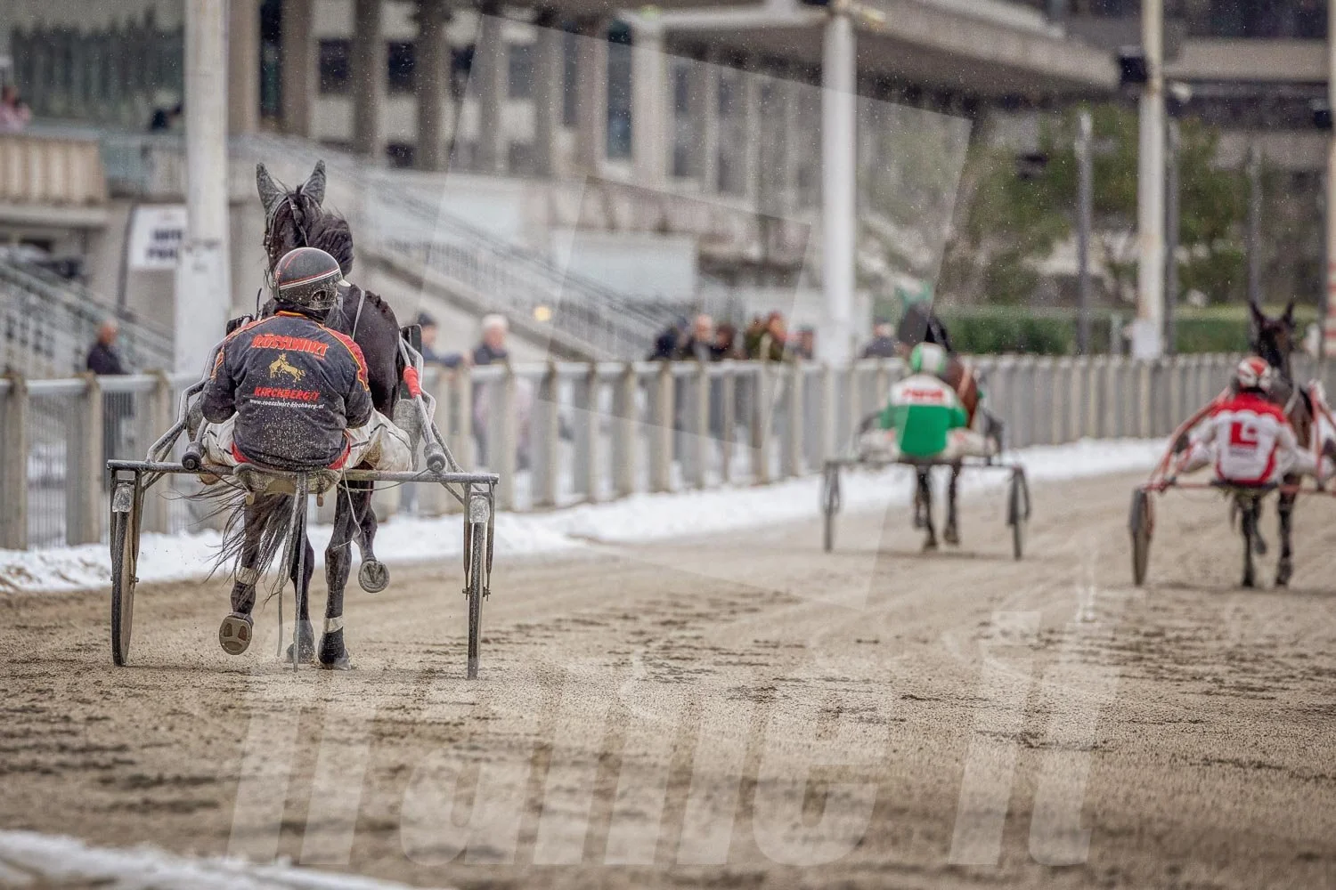 Pferderennen auf der Rennbahn mit mehreren Pferden, während Zuschauer im Hintergrund zuschauen.