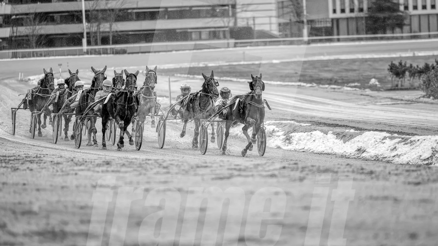 Schwarz-weiss Foto eines Trabrennpferdes, mit einem Trabrennfahrer auf der Trabrennbahn in der Wiener Krieau.