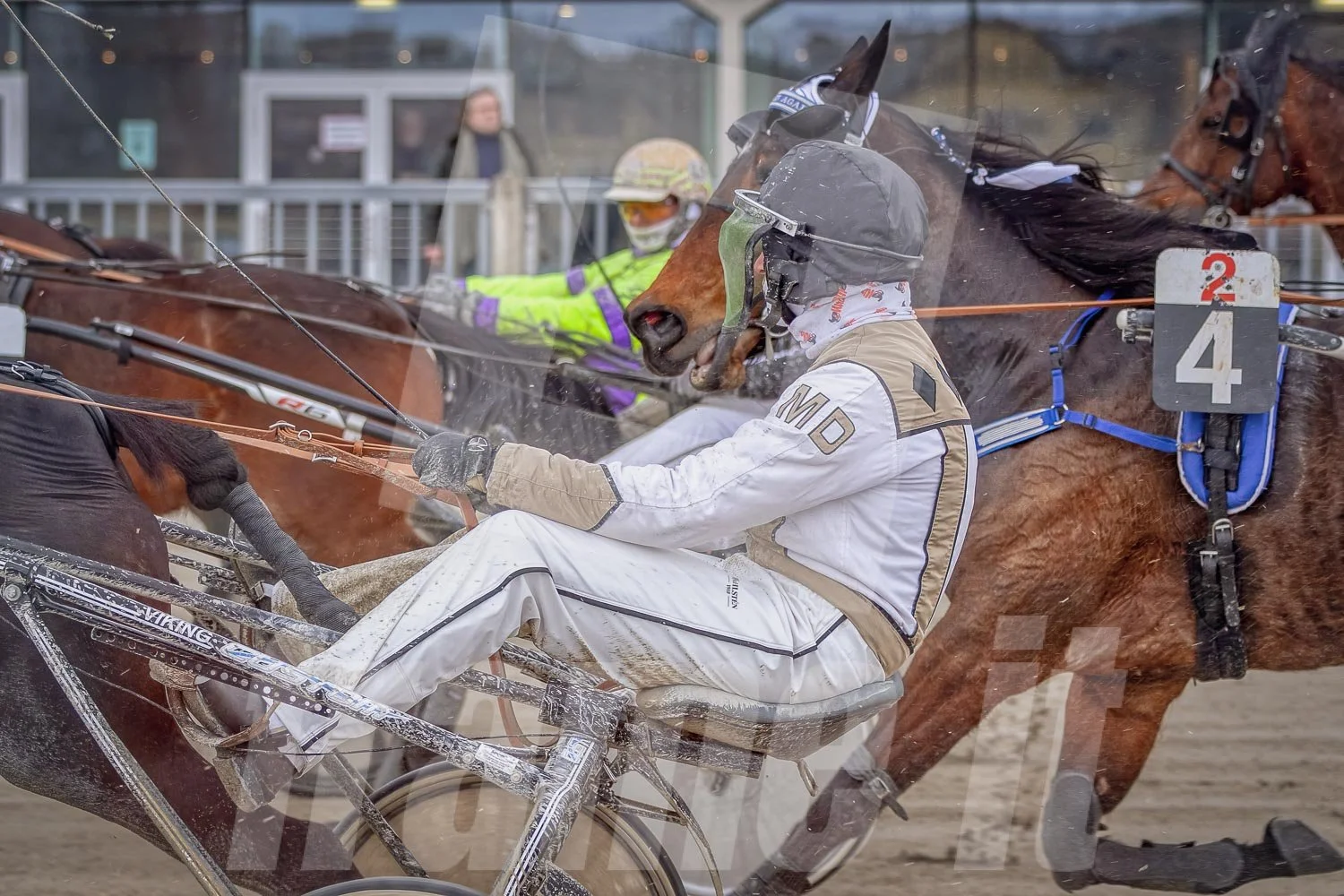 Trabrennfahrer fährt mit seinem Trabrennpferd in einer Wettkampfszene, Startphase.
