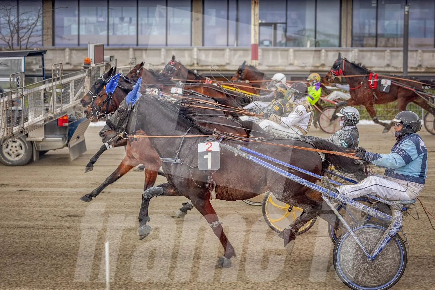 Trabrennen mit mehreren Trabrennpferden und Fahrern auf der Trabrennbahn in Wien Krieau. Startphase hinter dem Startwagen.