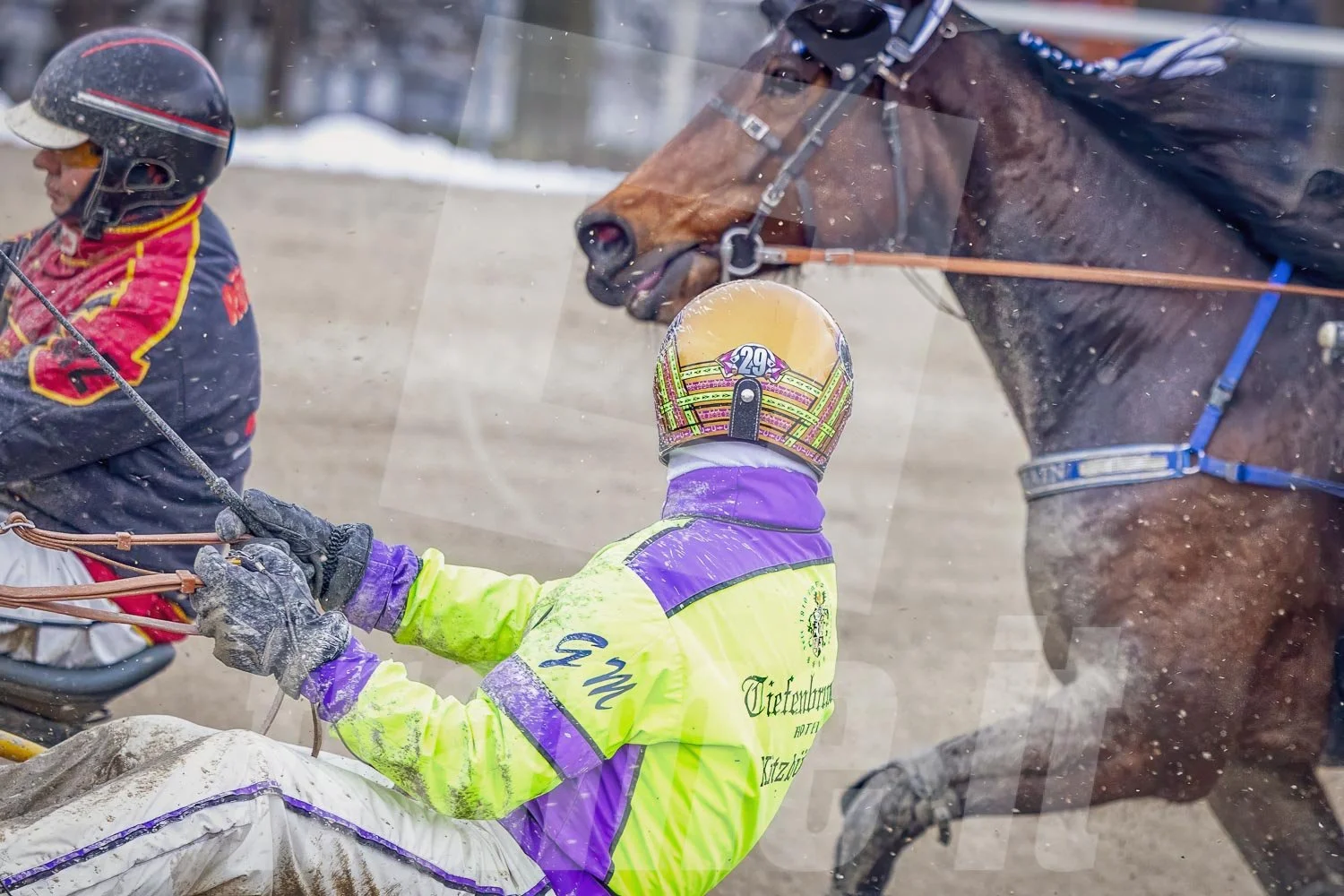 Gerhard Mayr, der bekannte Trabrennfahrer bei einem Rennen in der Wiener Krieau.