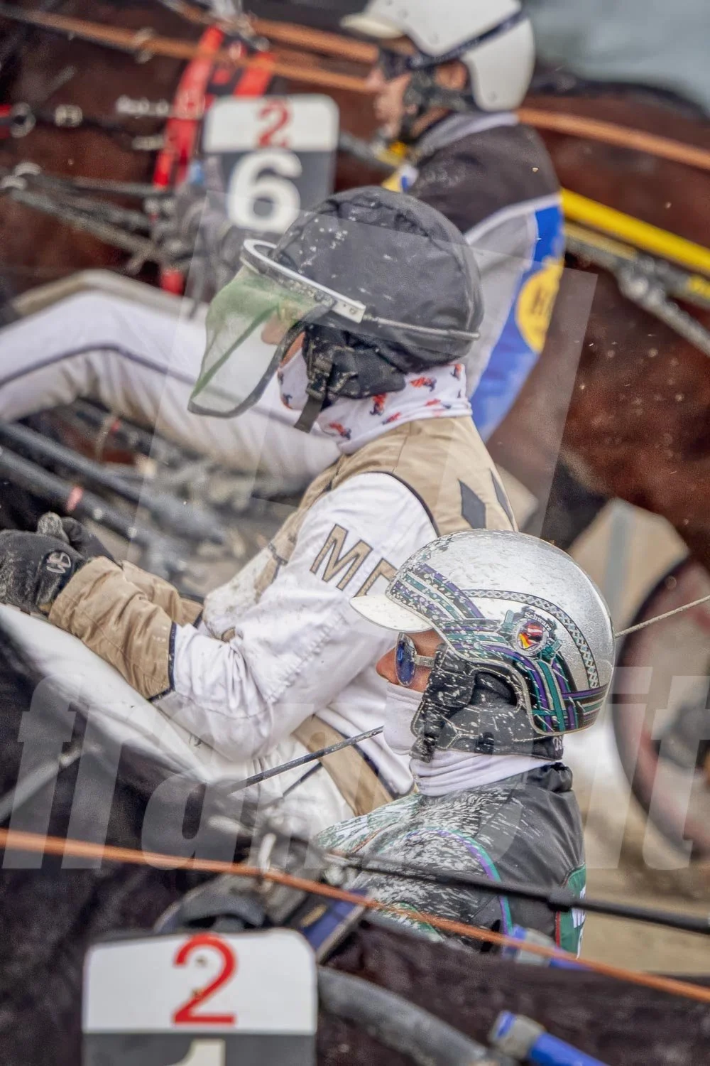 Trabrennfahrer Grossaufnahme in Farbe.