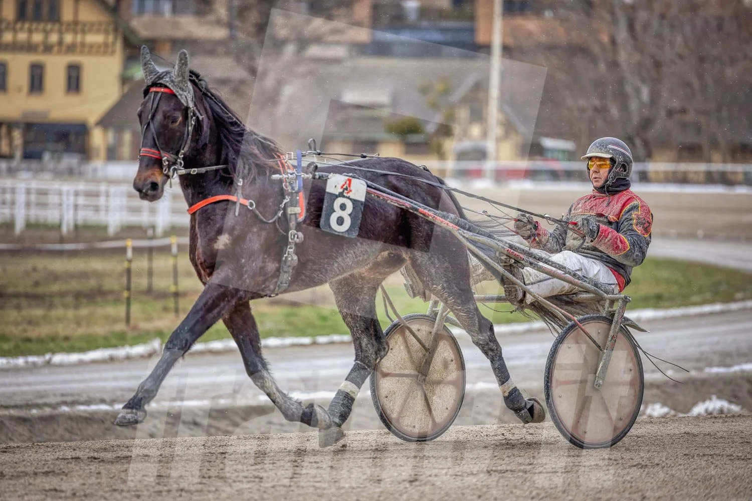 Pferderennfahrer bei einem Trabrennen auf der Rennbahn im Freien, mit Gebäuden im Hintergrund.