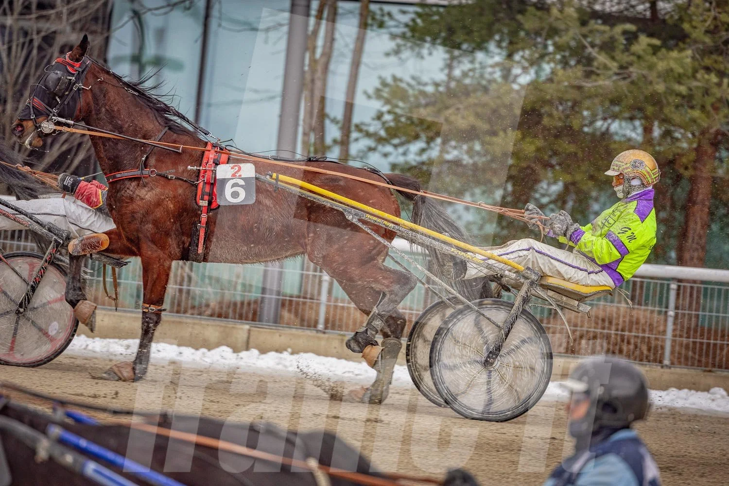 Pferderennen auf einer Trabrennbahn in Wien.