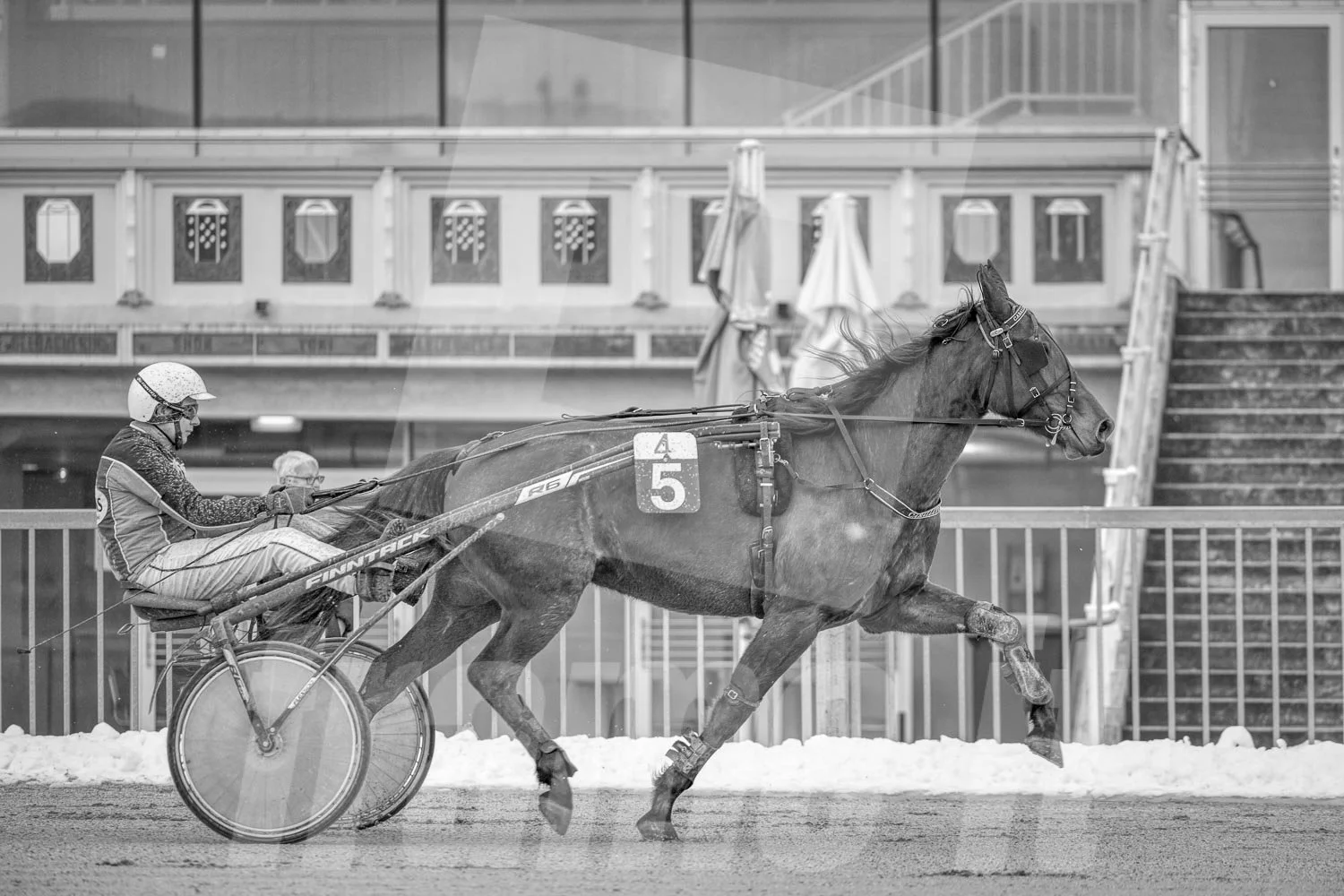 Ein Pferd beim Rennfahren, gezogen von einem Rennfahrer mit Helm, auf einer Rennbahn. Das Bild ist in Schwarz-Weiß aufgenommen.