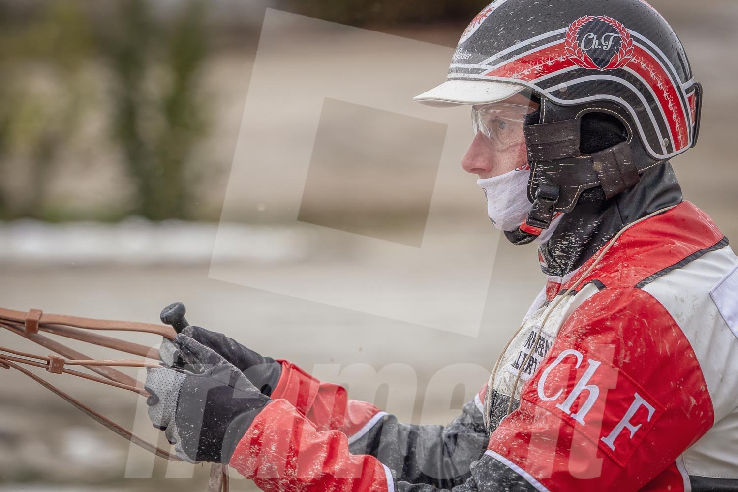 Trabrennpferd mit Trabrennfahrer auf der Pferderennbahn bei winterlichen Bedingungen.