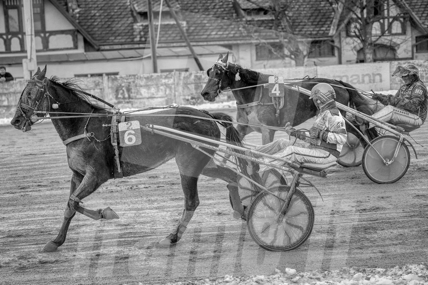 Pferderennen im Winter, schwarze und weiße Fotografie, Trabrennpark Krieau in Wien, im Hintergrund ein Gebäude mit Bäumen.